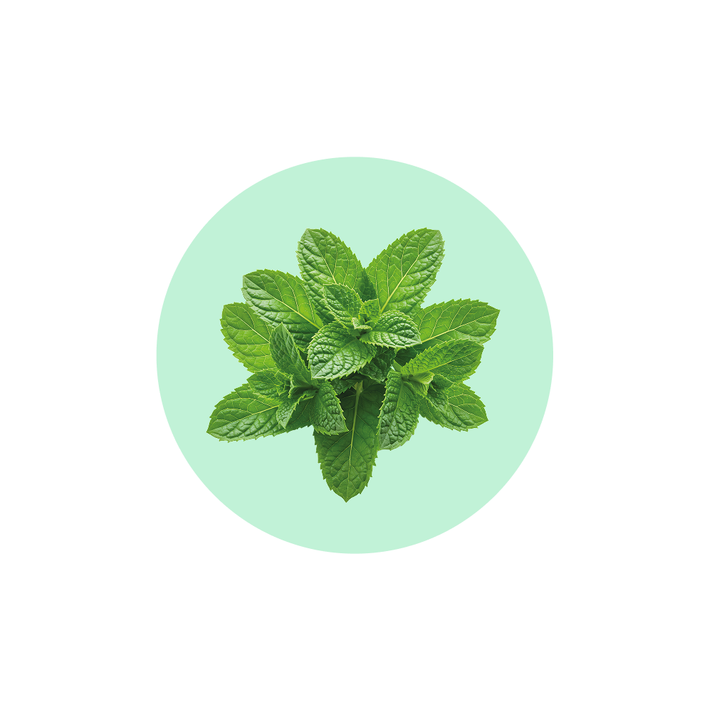 Зубна паста Softy Mint