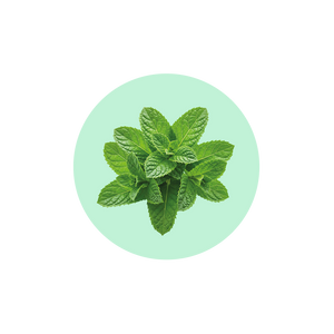 Зубна паста Softy Mint