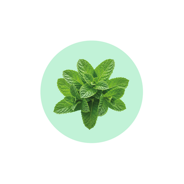 Зубна паста Softy Mint